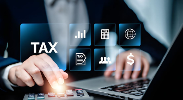 Professional income tax return filing and tax saving advice in India
